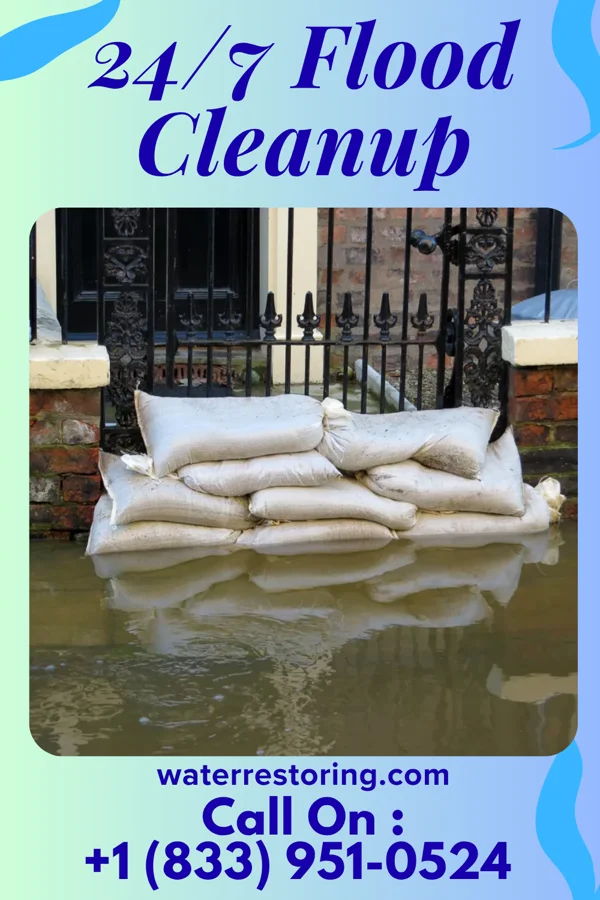 24/7 Flood Cleanup in Cement City, MI