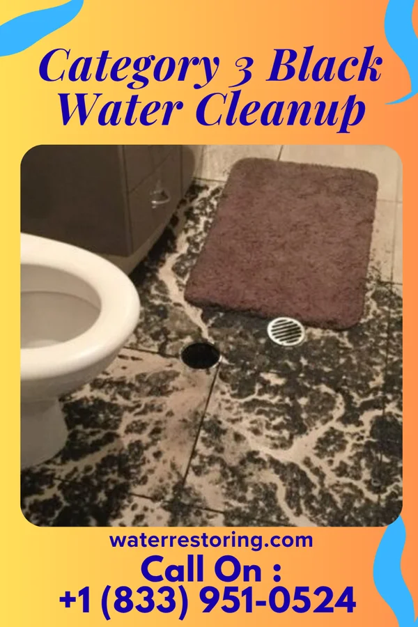 Category 3 Black Water Cleanup in Cement City, MI