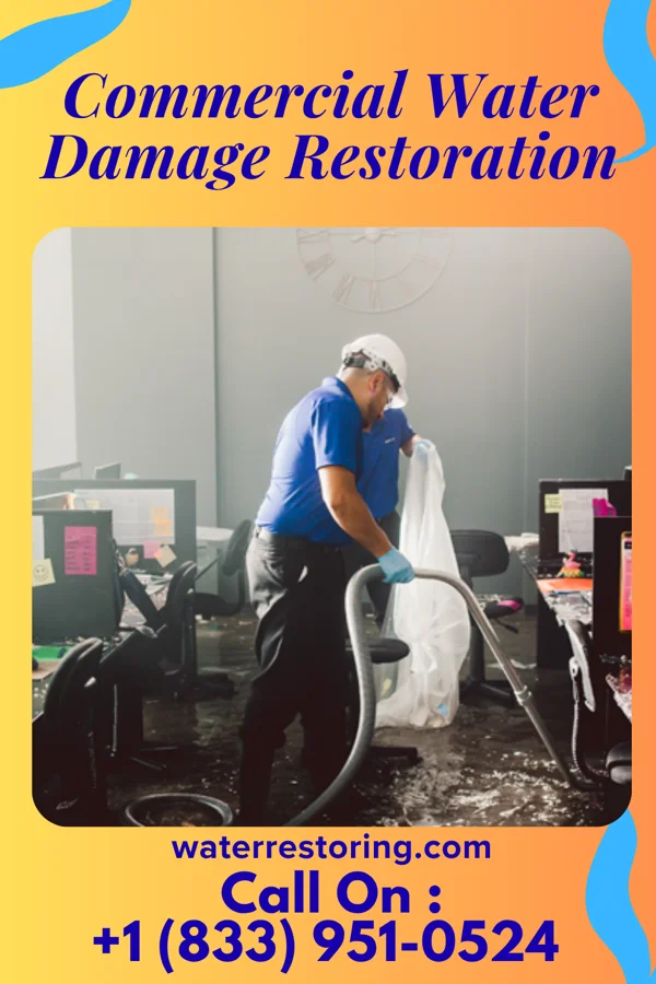 Commercial Water Damage Restoration in Cement City, MI