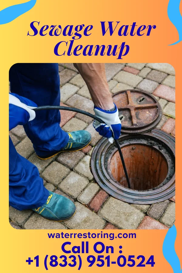 Sewage Water Cleanup in Cement City, MI
