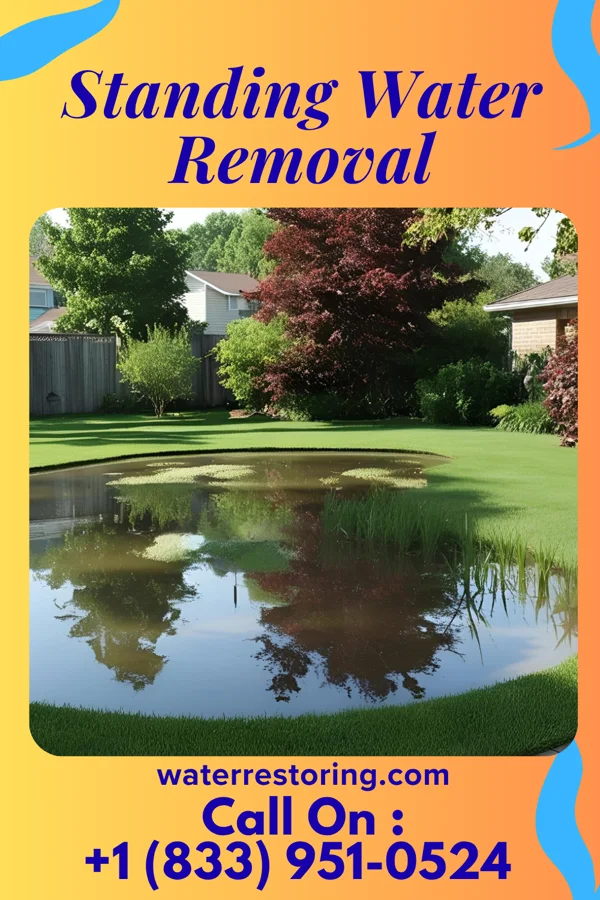 Standing Water Removal in Cement City, MI